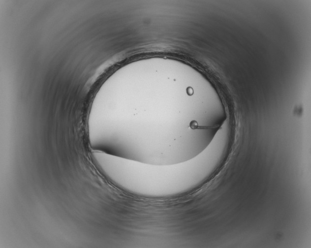 X0000112801210200909181529