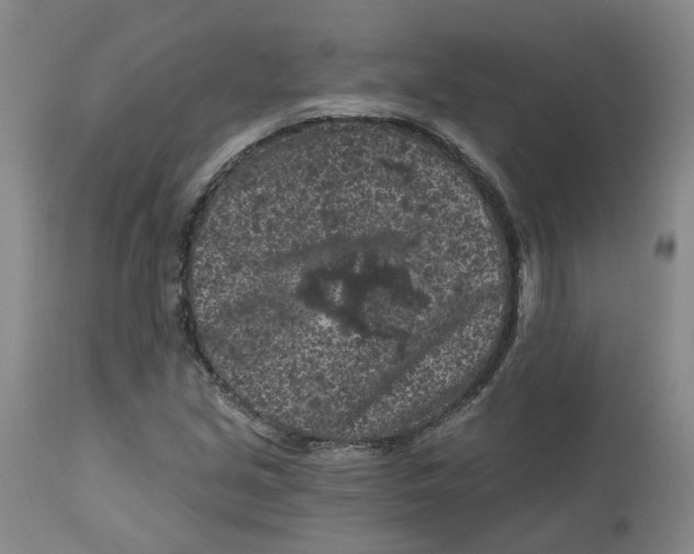 X0000112801213200909181529