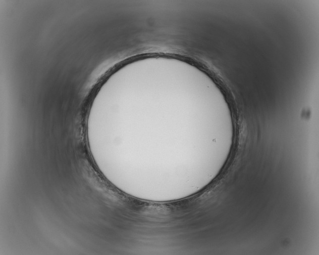 X0000112801215200909181529