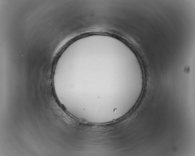 X0000112801216200909181529