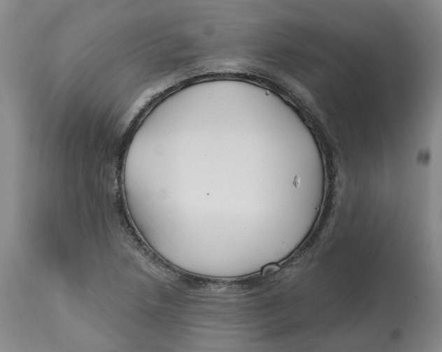 X0000112801218200909181529