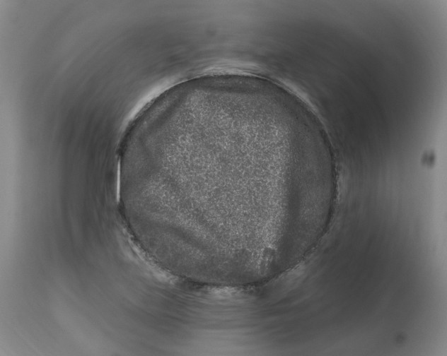 X0000112801219200909181529