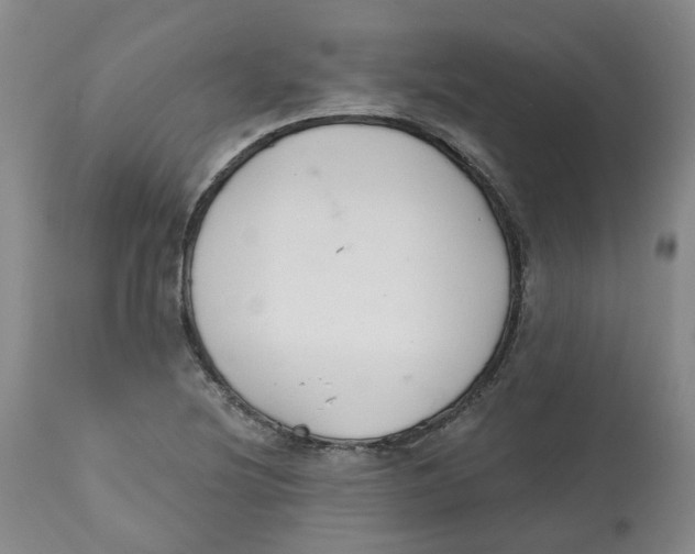 X0000112801220200909181529