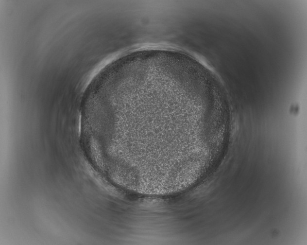 X0000112801221200909181529