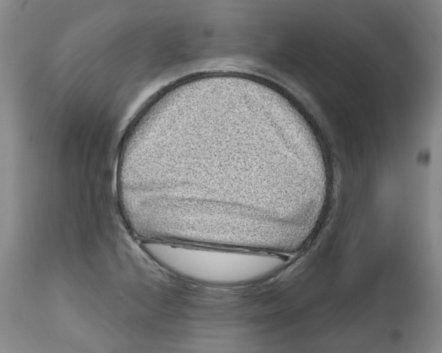 X0000112801224200909181529