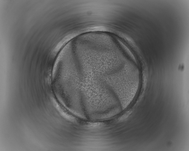 X0000112801225200909181529
