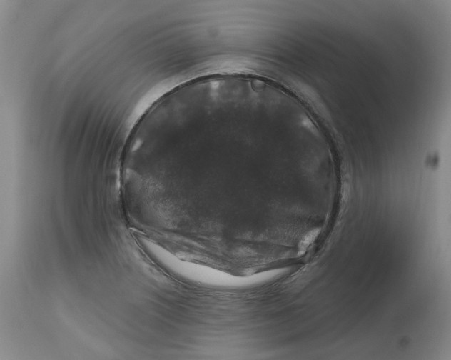 X0000112801226200909181529