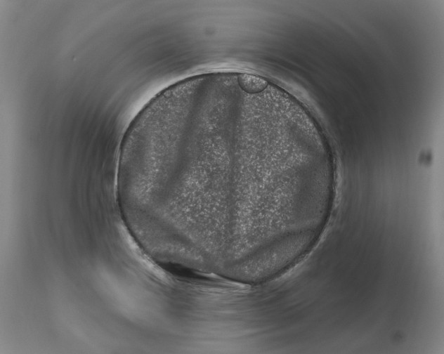 X0000112801228200909181529