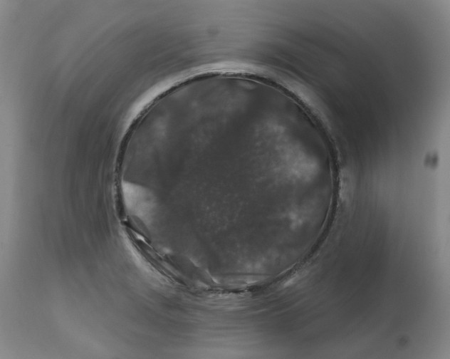 X0000112801229200909181529