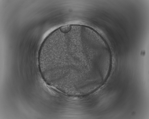 X0000112801230200909181529