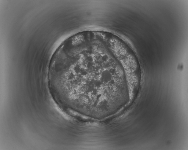 X0000112801231200909181529
