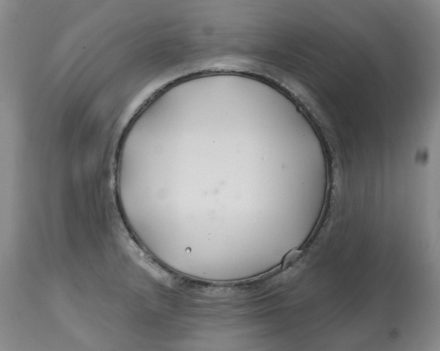 X0000112801232200909181529