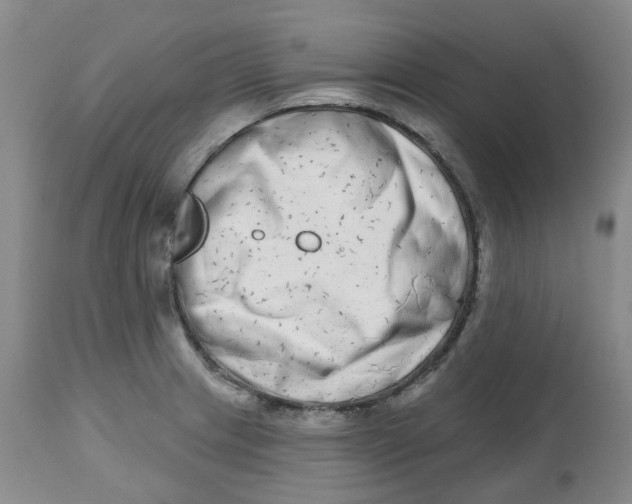 X0000112801233200909181529