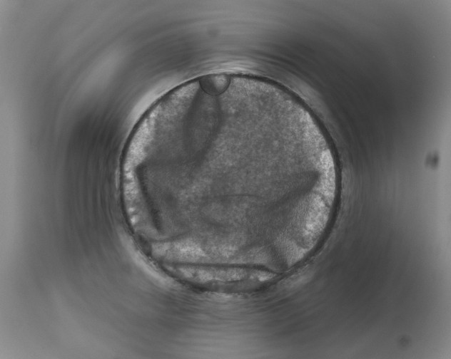 X0000112801234200909181529