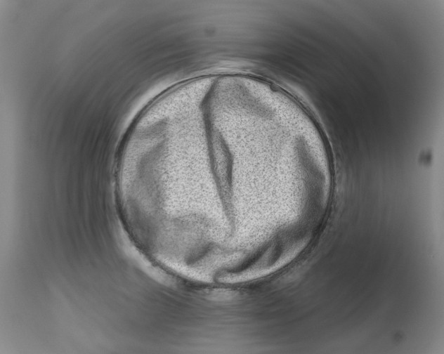X0000112801235200909181529