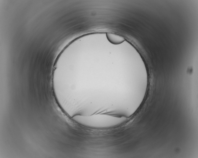 X0000112801236200909181529