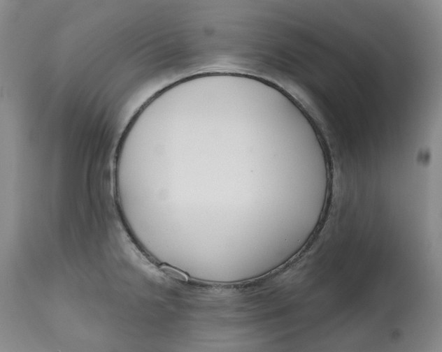X0000112801238200909181529