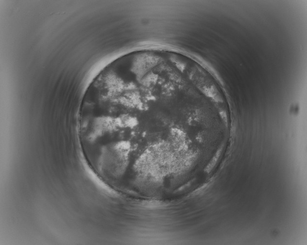 X0000112801239200909181529