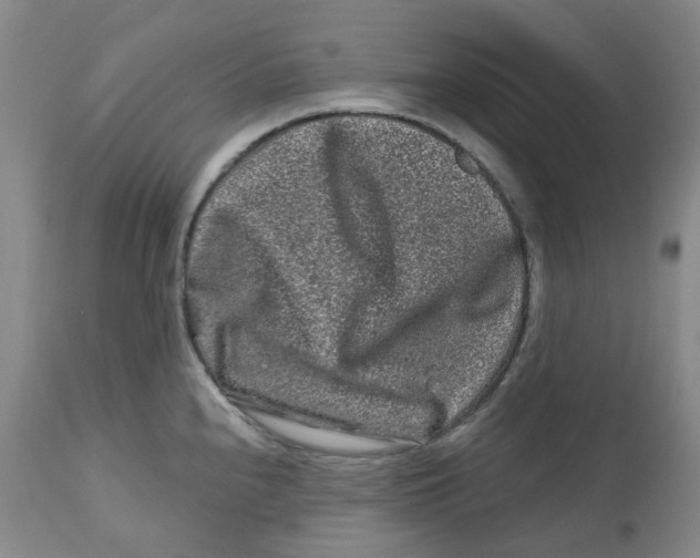 X0000112801240200909181529