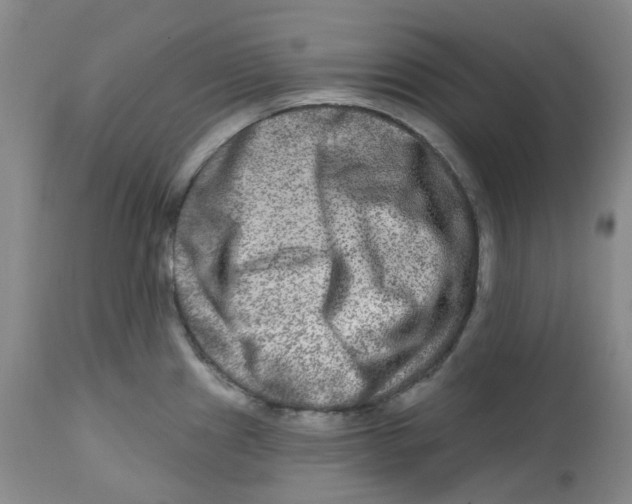 X0000112801241200909181529