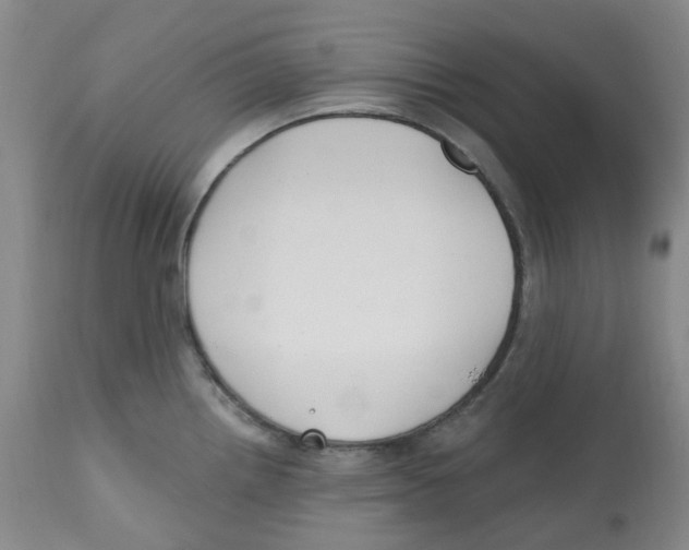 X0000112801242200909181529