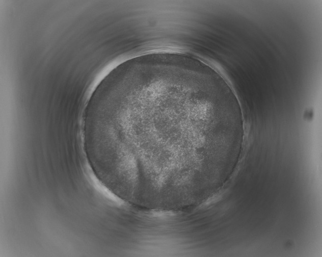 X0000112801243200909181529