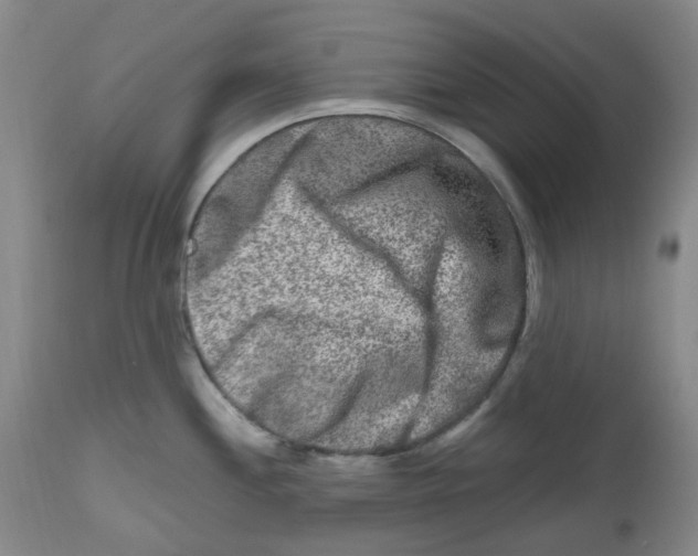 X0000112801244200909181529
