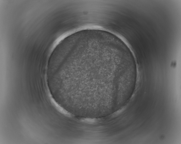 X0000112801245200909181529