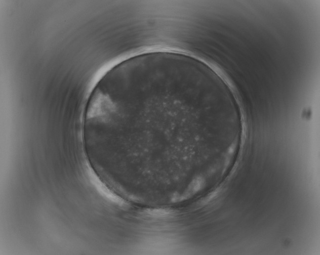 X0000112801246200909181529
