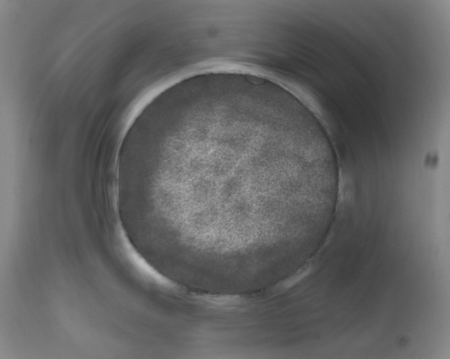 X0000112801247200909181529