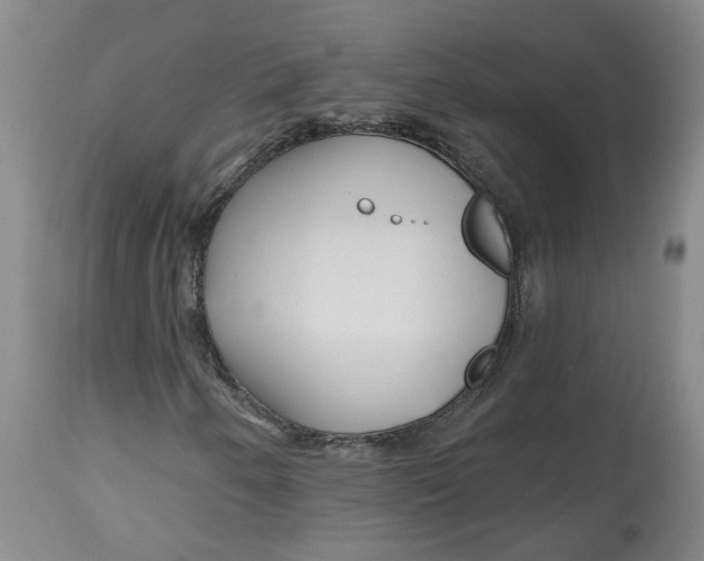 X0000112801250200909181528