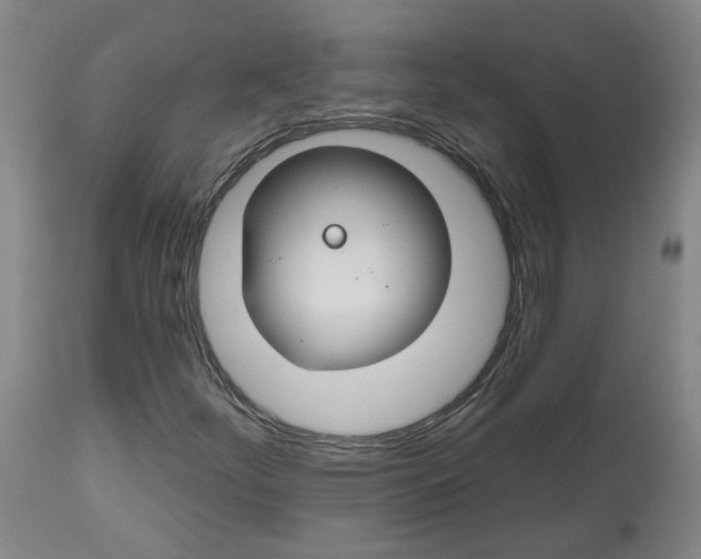 X0000112801252200909181528