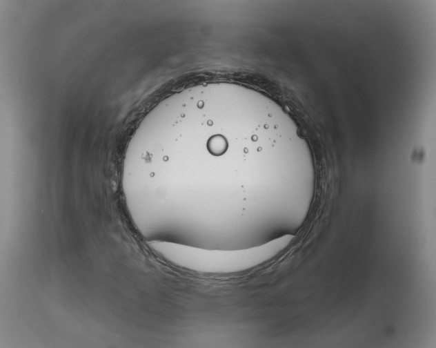 X0000112801253200909181528