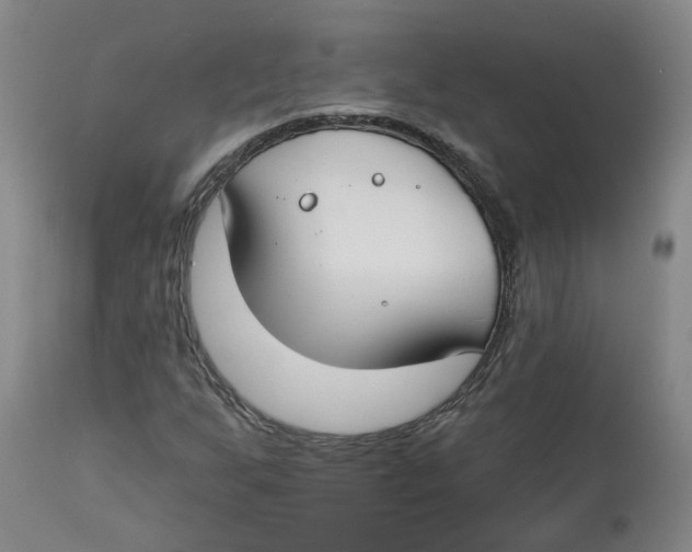 X0000112801255200909181528