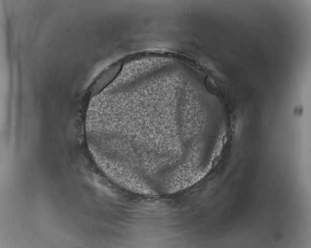 X0000112801256200909181528