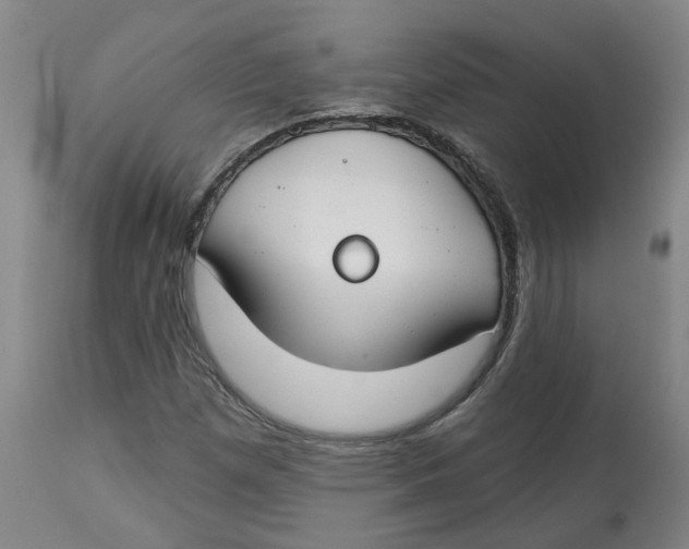 X0000112801257200909181528