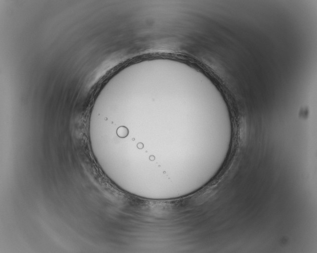 X0000112801258200909181528