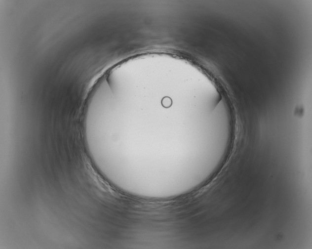 X0000112801260200909181528