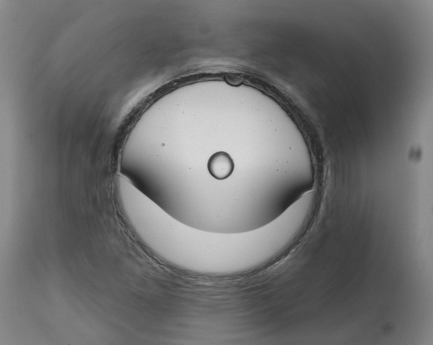 X0000112801261200909181528
