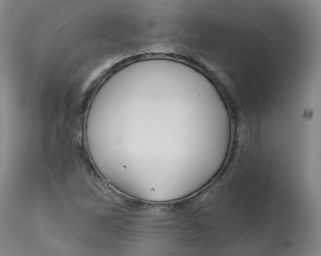 X0000112801262200909181528