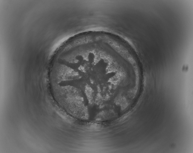 X0000112801263200909181528