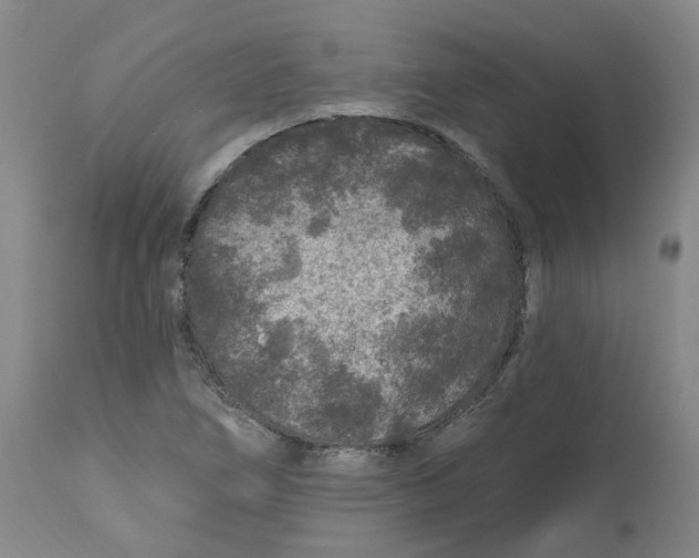 X0000112801266200909181528