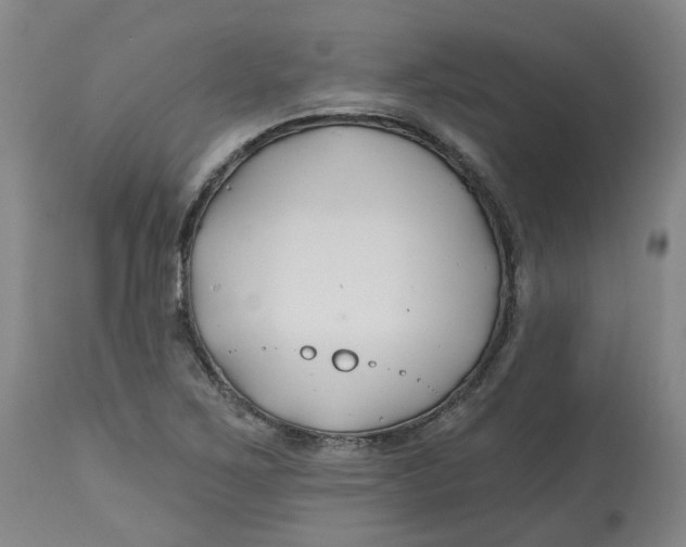 X0000112801267200909181528