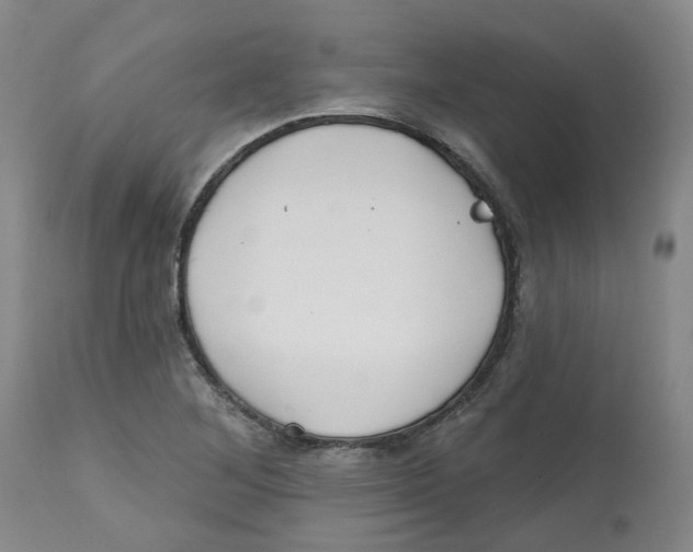 X0000112801268200909181528