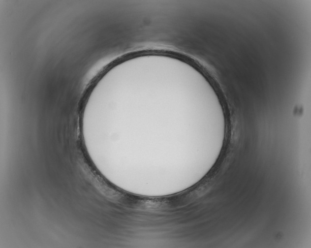 X0000112801271200909181528