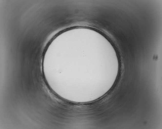 X0000112801272200909181528