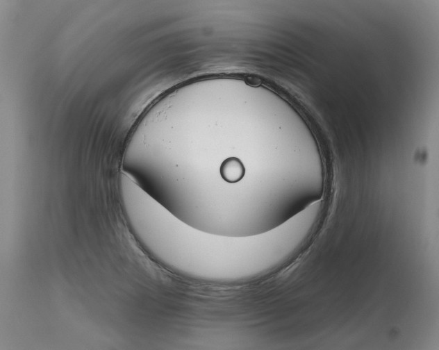 X0000112801273200909181528