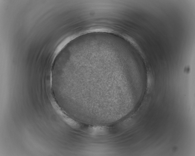 X0000112801274200909181528