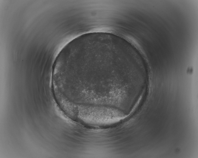 X0000112801276200909181528