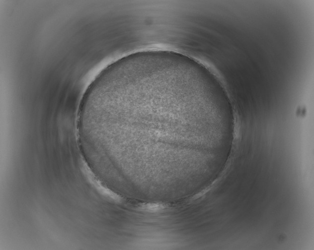 X0000112801278200909181528
